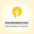 New Assignment Help