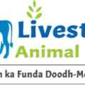 Livestock Animal News