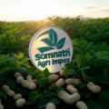 Somnath Agri Impex