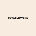 Send Gift Hampers Online