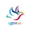 CGTMSE