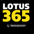 Lotus365matches