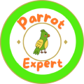 parrotsexpert