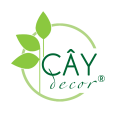 Cây Decor