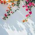 Prateek Mittal