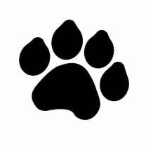DogPaw Reviews