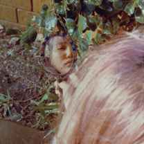 𝓵𝓸𝓿𝓮, 𝓻𝓸𝓼é