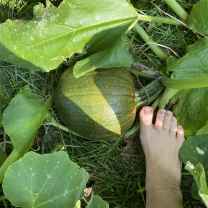 Elizabeth Belden Handler