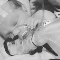 𝙰𝚛𝚊𝚋𝚎𝚕𝚕𝚊'𝚜 𝚂𝚝𝚘𝚛𝚢 🖤🤍