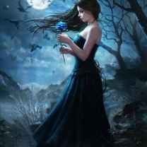 Luna Morningstar Rose 