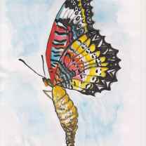 Francois Celestin