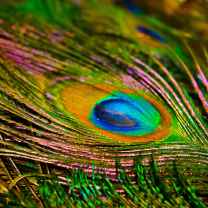 Tales of Inconsequence