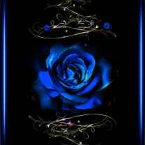 Blu Rose