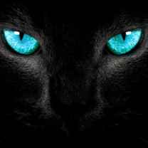 Chris•ti•ä•na Lynette