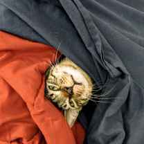 Bradley William Holder