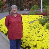 Pat A. Brannin