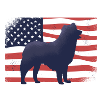 best Programs and services