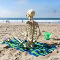 Alexander Dziewanowski