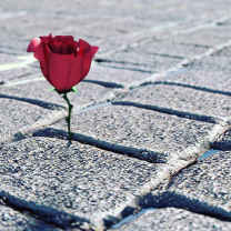 Glitter and Glue for a Soul torn in Two! 