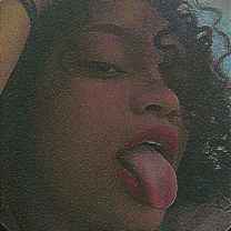 Shary Bunny