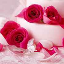 aneela
