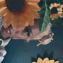 The Sunflower Nana