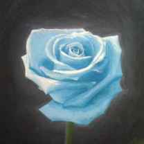 TheCeruleanRose