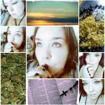 Insanity at its best