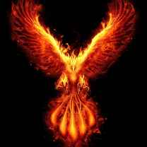 Phoenix Hart