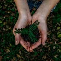 Sustainable Sally