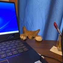 Magdalene Jo S. Kloc