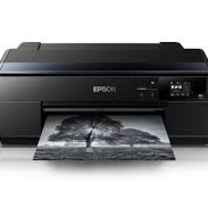 Epson Printer Offline