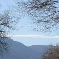 Kody Harlow Asutra Emery