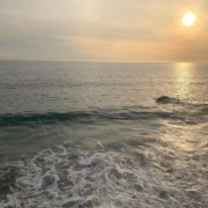 WATSHAM GRAHAM EDWARD