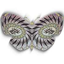 Cody Aaron Phetteplace