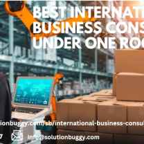 international business consultant