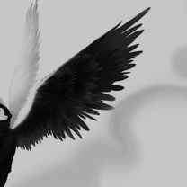 𝕬𝖓𝖌𝖊𝖑'𝖘 𝖜𝖎𝖓𝖌𝖘