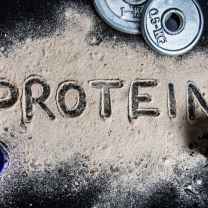 prolicious protein