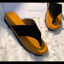 Jersey mirabelle 