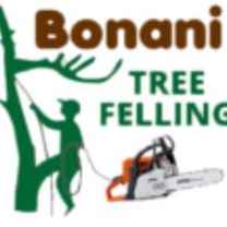 Tree Felling Centurion