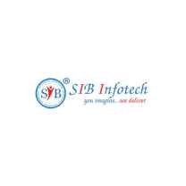 SIB Infotech
