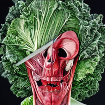 Better Health and Lifestyle