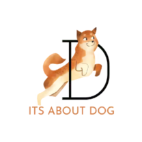 Its About Dog