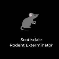 Scottsdale Rodent Exterminator