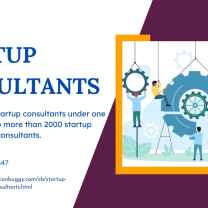 Startup Consultant