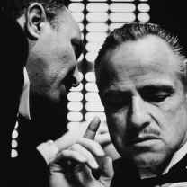 Sanjay-The movie reviewer