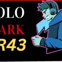 SOLO MARK NR43
