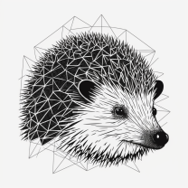 The Conscious Creator