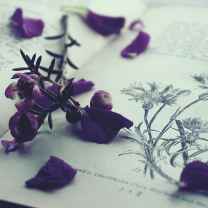 itsme_shahana_intrepide