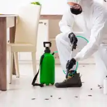 Elitepestcontrol